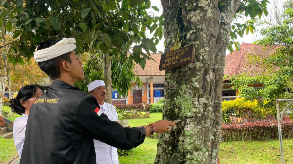 Tumpek Atag 2024