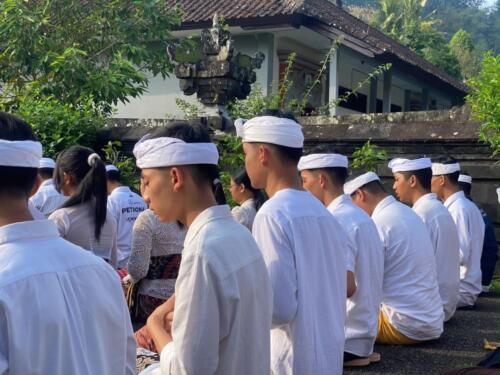 Tilem-11092026-9